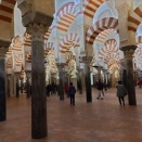 スペイン旅行ー２日目　コルドバ