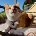 だいじろう日和。