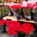 祝日前のほわほわなど