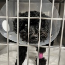 willくんの経過５