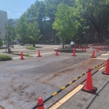 『再び「歴史講座」が始まった』の画像