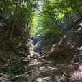 山