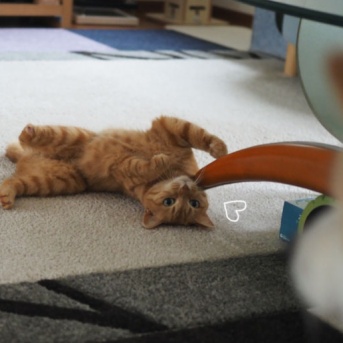 まる子の空振り
