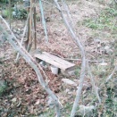 落ち葉集めと休憩スペースの改修