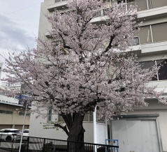 記者クラブおつ 2026年3月