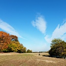 北の離れ　比良の丘 2―ウワミズザクラ