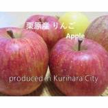 『樹上完熟❕栗原産りんご🍎』の画像