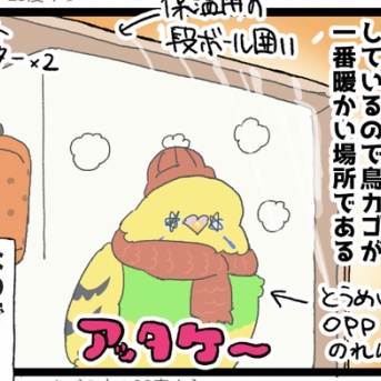 カゴの外は、寒いからやだ🦜