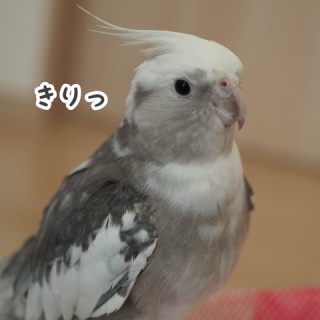 NEW!ユニブログ