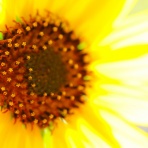 chica*chica　―バンコクの気ままな生活blog―