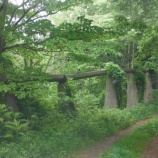 『坪山堤』の画像