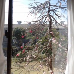 素顔のグラドルを愛でる