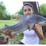 ユーチューバー夫婦「絶滅危惧種を食べてみた」動画を投稿 →結果ｗｗｗｗｗｗｗｗｗｗｗ