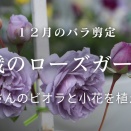 バラが好きな方とつながりたい♪