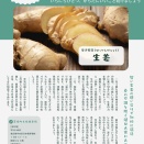 【一日一養】しょうが
