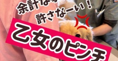 腰痛モコちゃん再診。