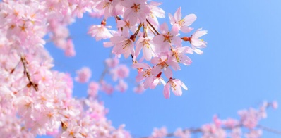 360_F_491003345_AYpshw9bW3fQI5U0IERxrG8LLEBTWSiE