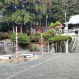 『年末の山田八幡宮　』の画像