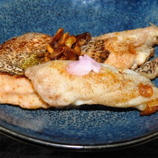 土佐料理　旬の鰹がゆく！