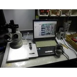 �ص줤FMV��Windows7�ˤ��Ƥߤ�����ͳ�ϡ��٤β���