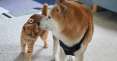 いつも通りがいいね♪