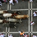 スペイン・サン・フェルミン祭の牛追いで9人が負傷