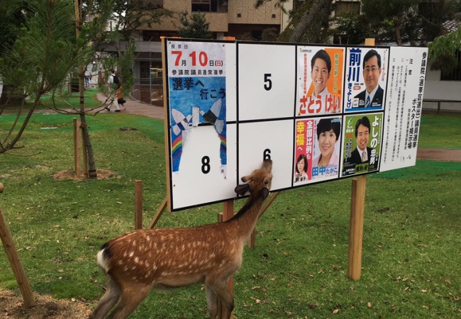 奈良で堂々と公職選挙法違反が行われるｗｗｗｗｗｗｗ