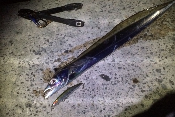 カミヤマ ライトゲーム 沖縄ルアー釣り プラグ Amp ワーム 五目釣り 太刀魚