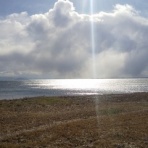 ㈲大江住宅、人呼んで、‘ひごもっこり‘のblog