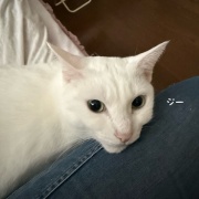 ＊バラの強い生命力に改めて感動した朝