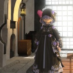 FF14 ギャザクラ貴族