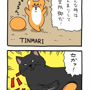 絶滅寸前の動物ハッチンパモス「パモラ」 : キューライス記 Powered by