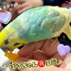 ぷりんとめぐみ♪