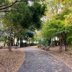 イヌじゃないの、ムスメなの☆