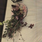 カラっと参ってもよろしおますか？