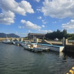 ワンちゃん☆ママン奮闘記