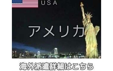 『アメリカ・ロサンゼルスインコール求人情報』の画像