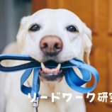 『嫌悪条件づけになってませんか？』の画像