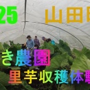 いわき農園　秋の野菜収穫体験　2025