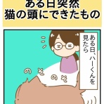 ひよっこ一家備忘録