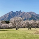 相隣関係について