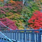 塩原温泉　彩つむぎ　女将の独り言