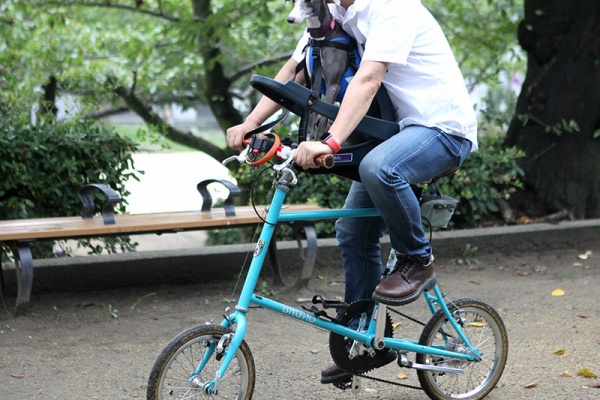 ペット専用自転車シート バディライダー BUDDY RIDER START – LSB-TOKYO