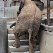 砥愛ちゃん、まだまだ上っています！下りています！