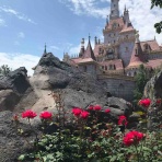 ディズニー結婚日記