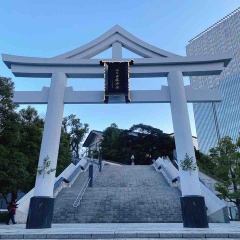 新年の営業が開始しました