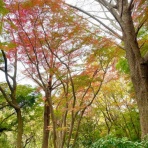 さもない日々のこと。