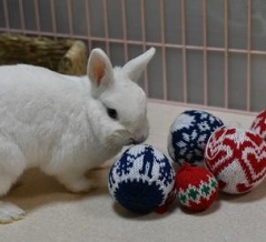 クリスマスボールうさぎ