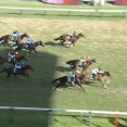 【競馬】新潟大賞典は西村淳騎乗のグランディアがV