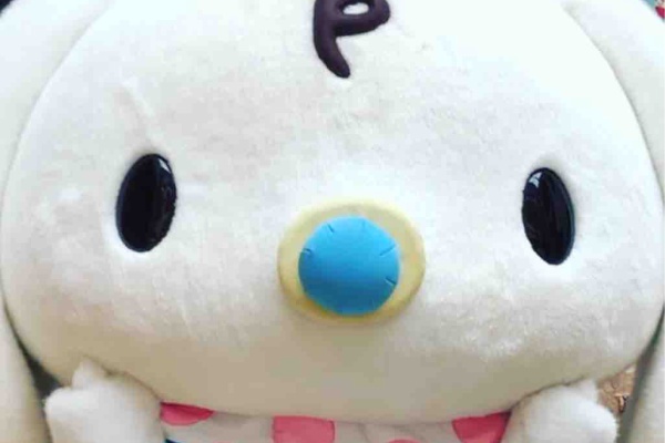 プリンくんと私 シナモロール